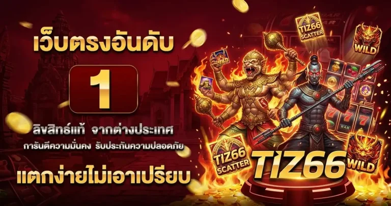 tiz 66 วอเลท
